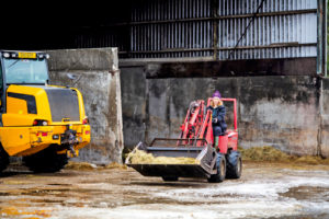 Maitotilan työt ovat tulleet tutuiksi. Toimeliaisuuteen tottunut Anna on oppinut kaikki askareet työtä tehden, ja eläinten hyvinvointi on hänelle kaikki kaikessa.